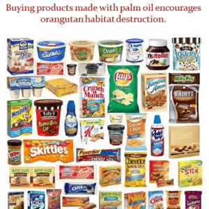 foods containing palm